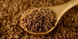 cummin-seed-Images-BS-Food-Stuff-Web