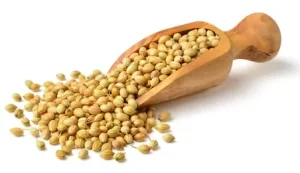 dried-coriander-seeds-olive-wood-260nw-1041544780-ezgif.com-crop